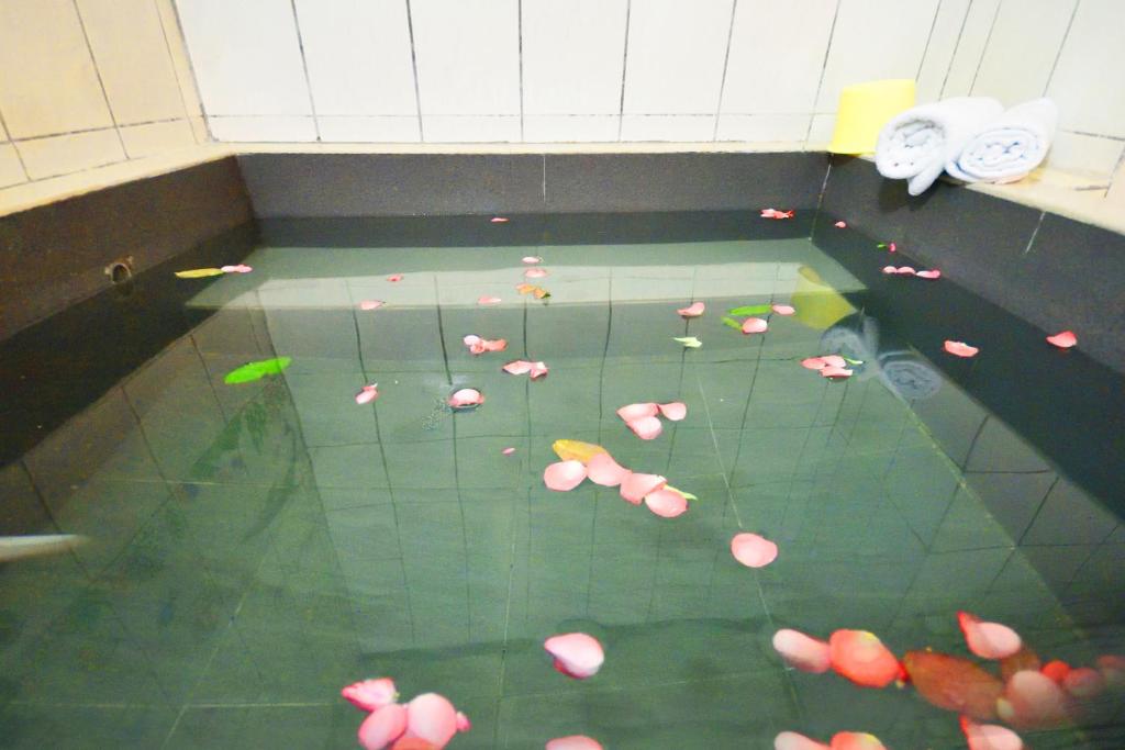 雷姐的家知本溫泉