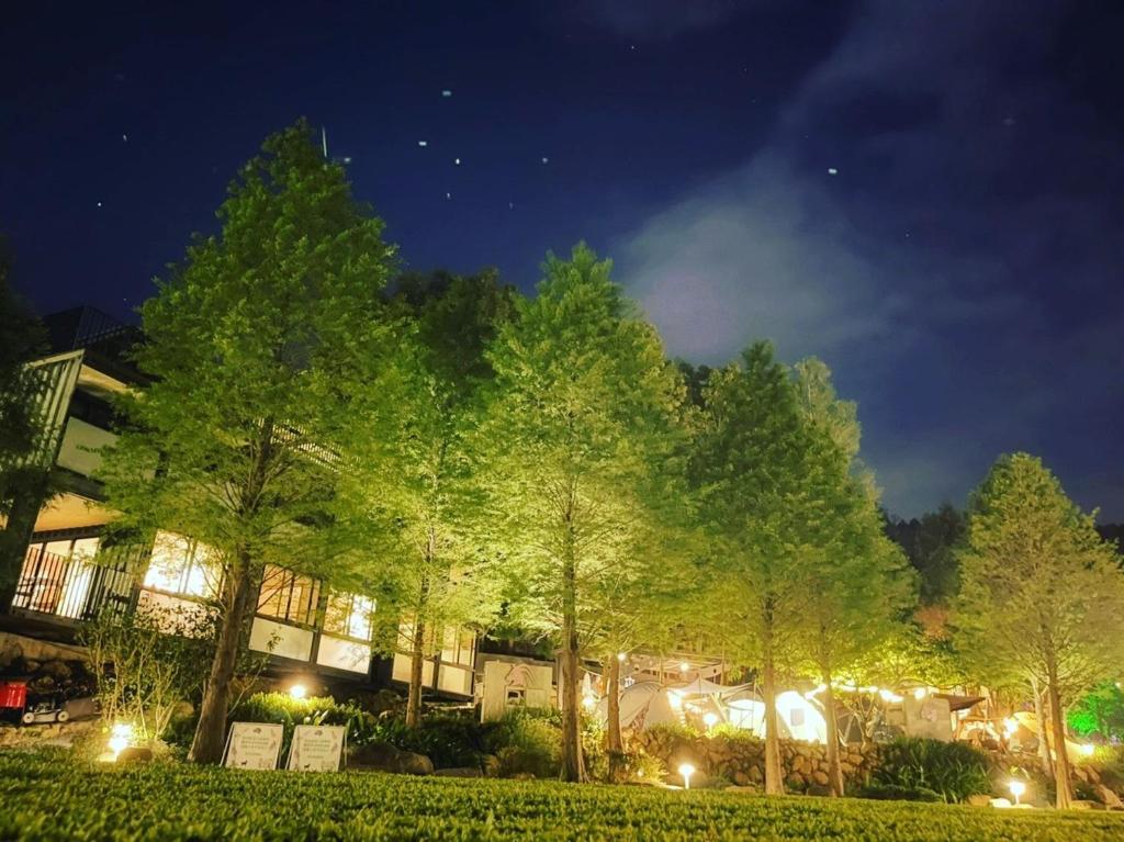 攝手座營地
