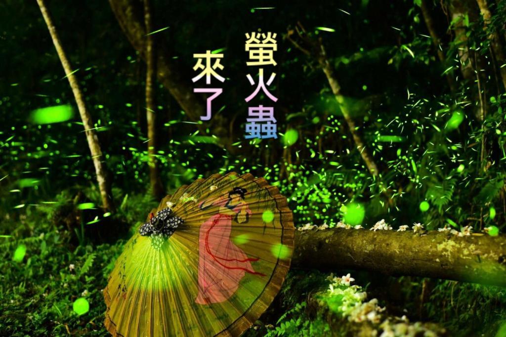 幸福綠光峇里島渡假會館