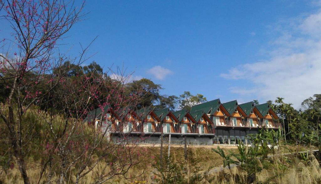 玉蘭山徑小木屋